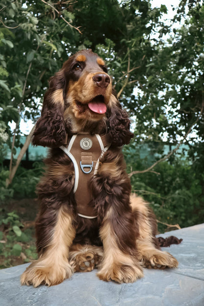 Adventurer’s Harness – Chestnut Edition