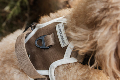 Adventurer’s Harness – Chestnut Edition