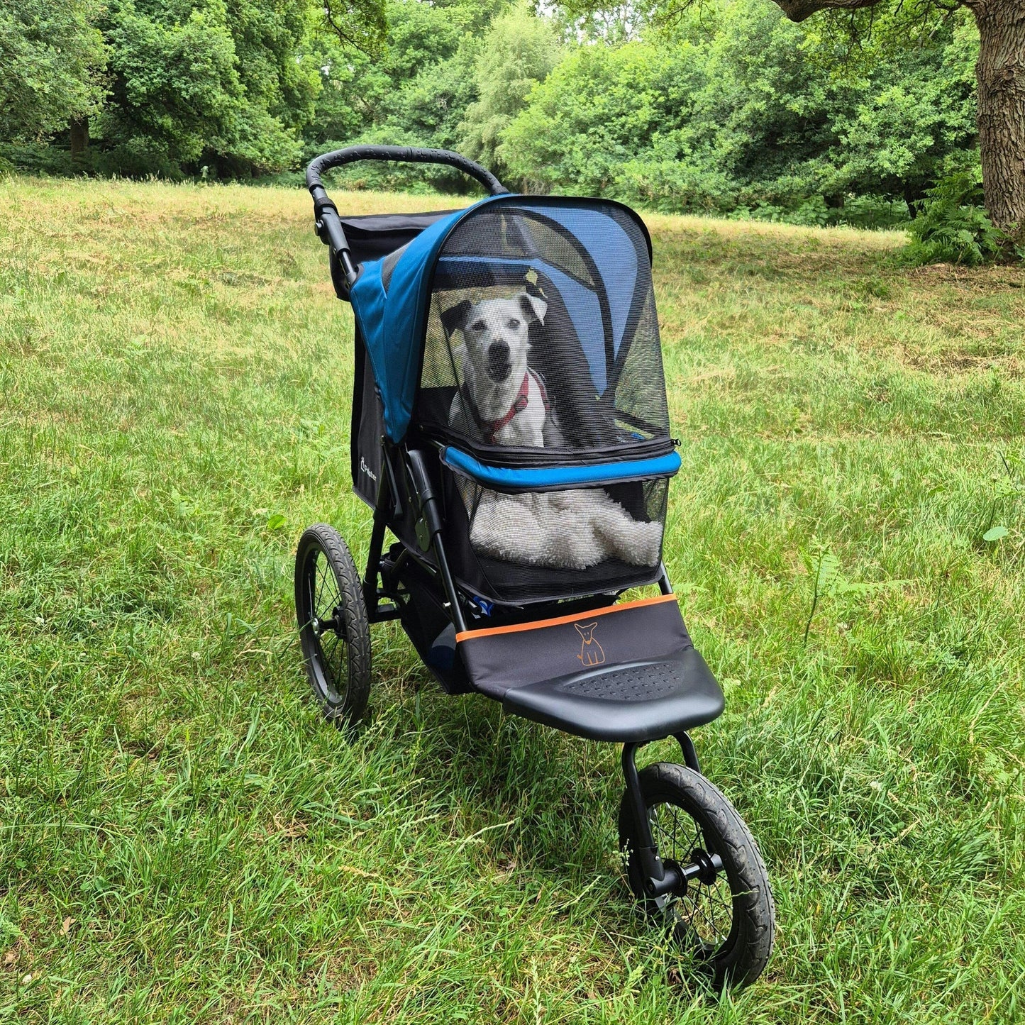 Palster Explorer All-Terrain Dog Stroller – Black & Harbour Blue
