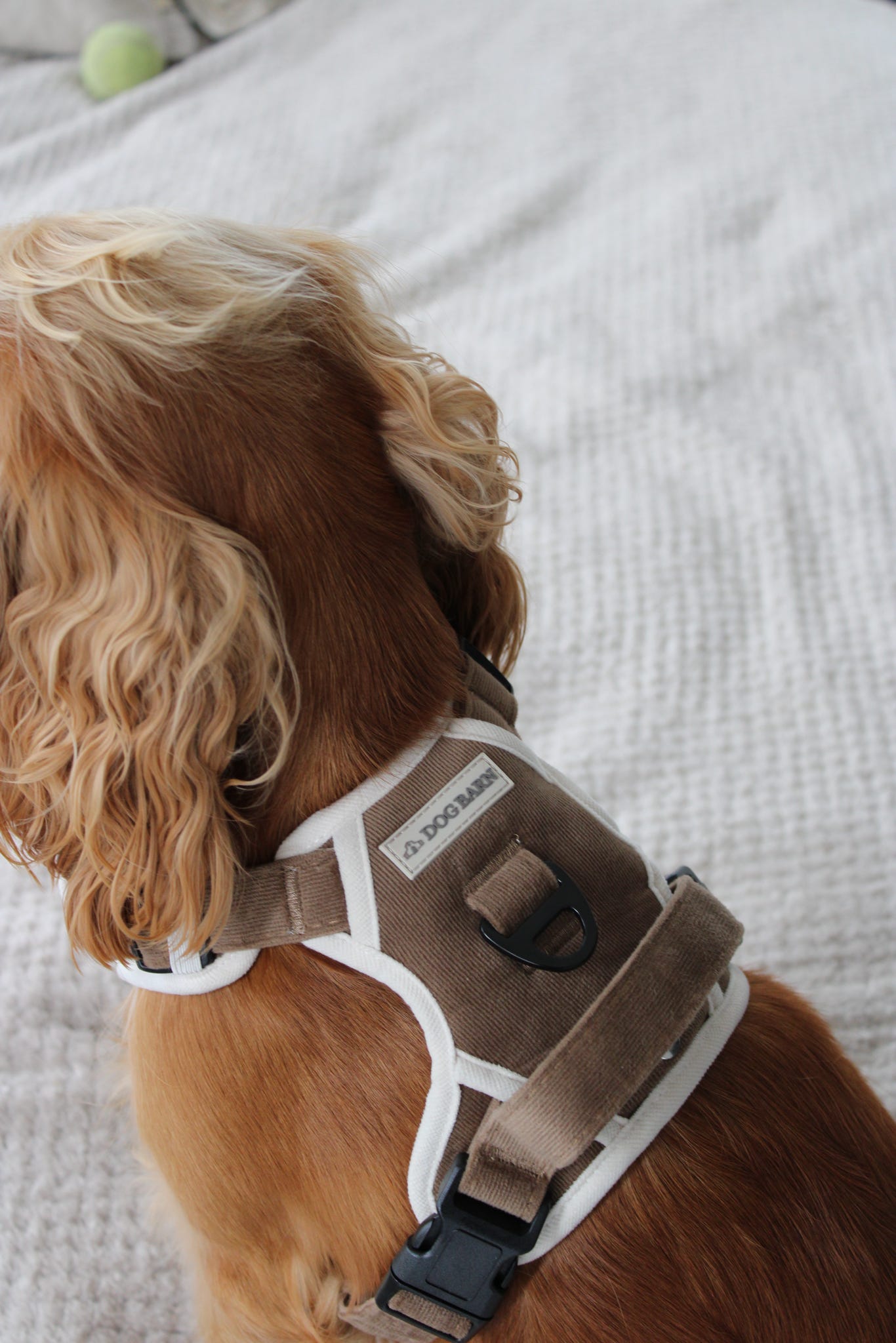 Adventurer’s Harness – Chestnut Edition