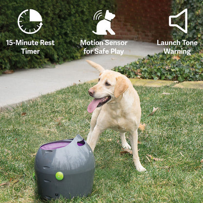 PetSafe Automatic Ball Launcher for Active Dogs