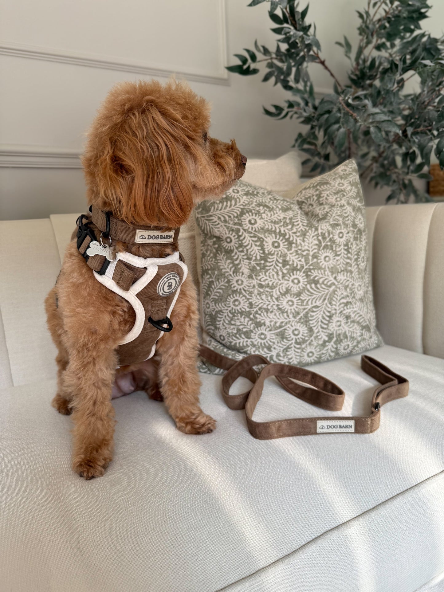 Adventurer’s Harness – Chestnut Edition
