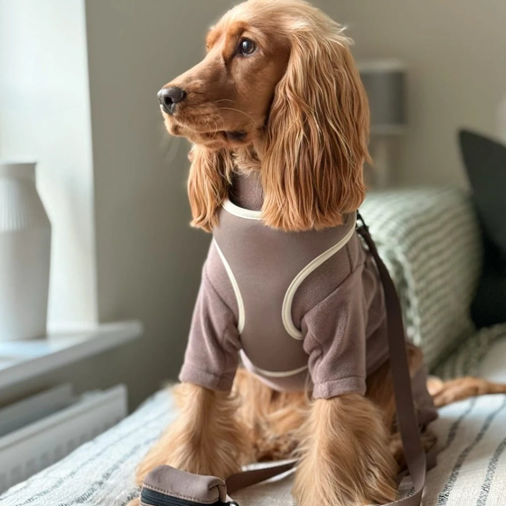 Pets Summer T Shirt
