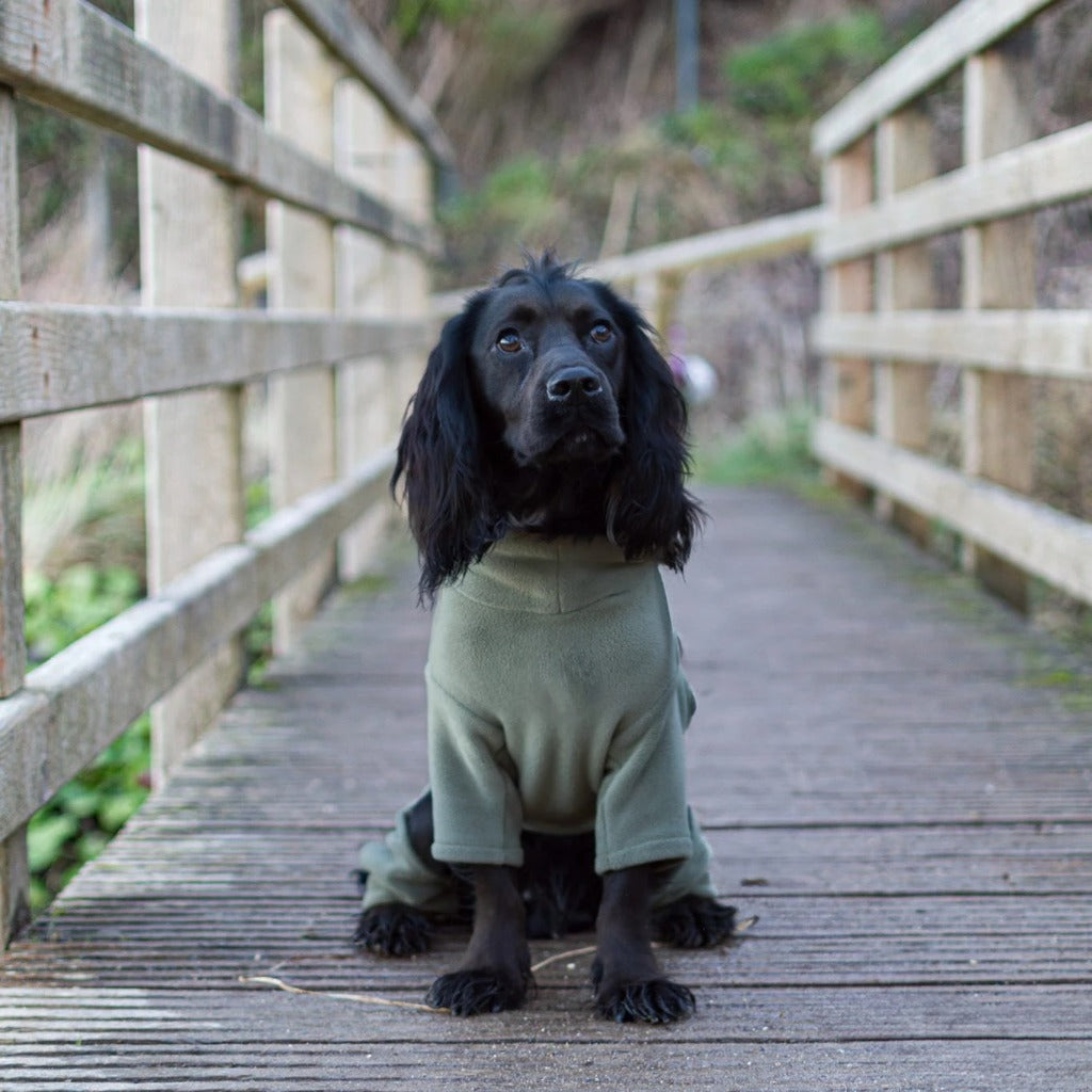 Pets Summer T Shirt
