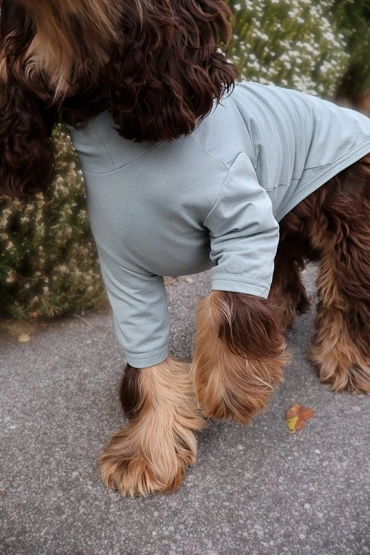 Pets Summer T Shirt