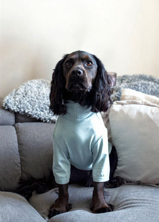 Pets Summer T Shirt