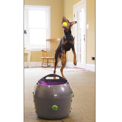 PetSafe Automatic Ball Launcher for Active Dogs