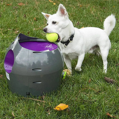 PetSafe Automatic Ball Launcher for Active Dogs