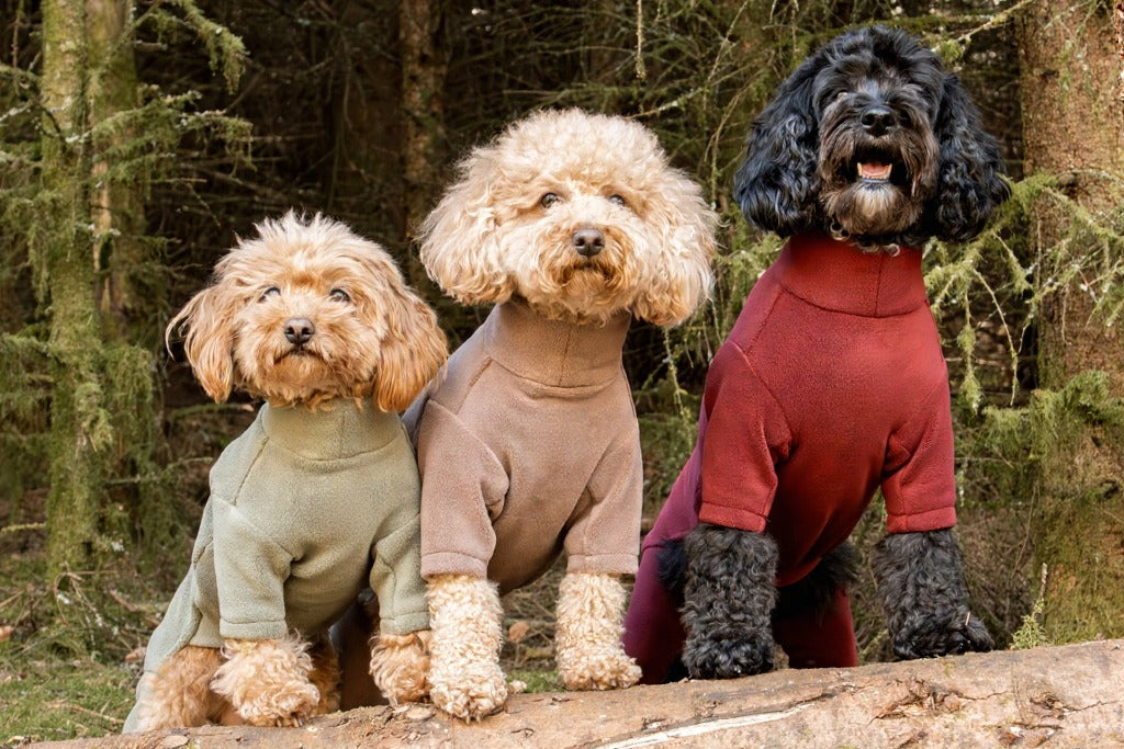 Pets Summer T Shirt