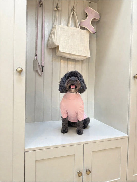Pets Summer T Shirt